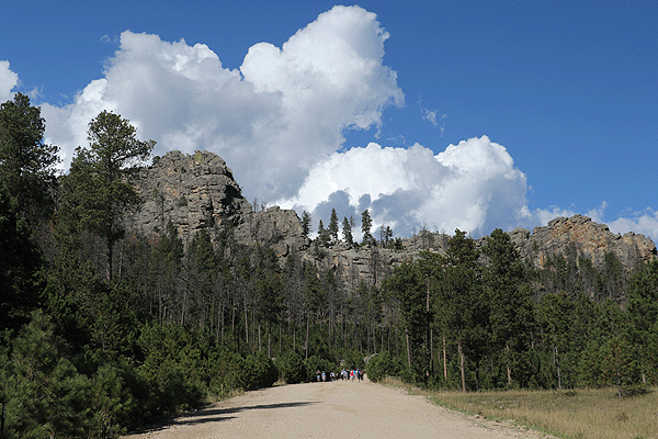 acceptinglimitsmhpyopti